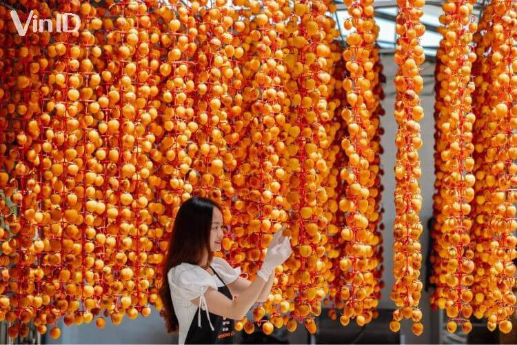 Quá trình làm hồng treo gió thủ công tại Đà Lạt với những trái hồng được treo trên giàn để sấy khô tự nhiên.