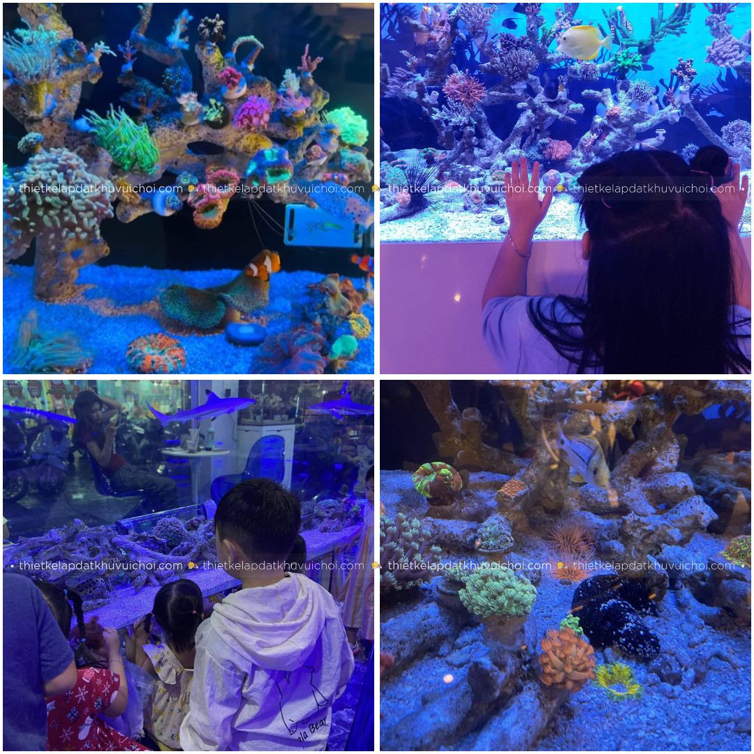 Thủy cung mini Reef Coffee Tân Phú, không gian quán cà phê ngắm cá cảnh