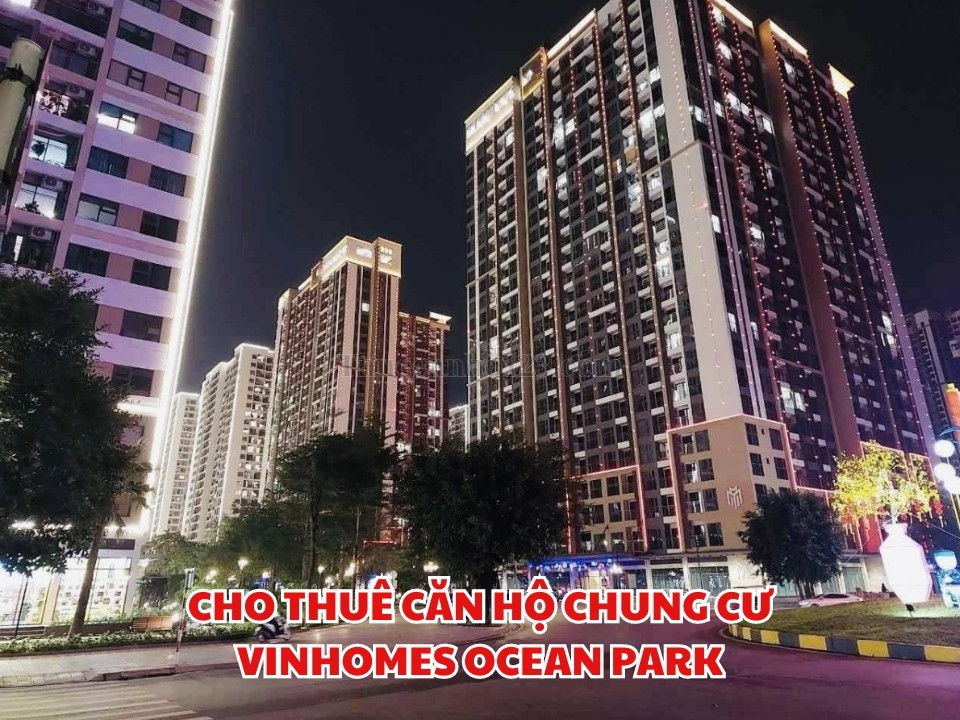 Tổng quan về các lựa chọn thuê chung cư tại Vinhomes Ocean Park