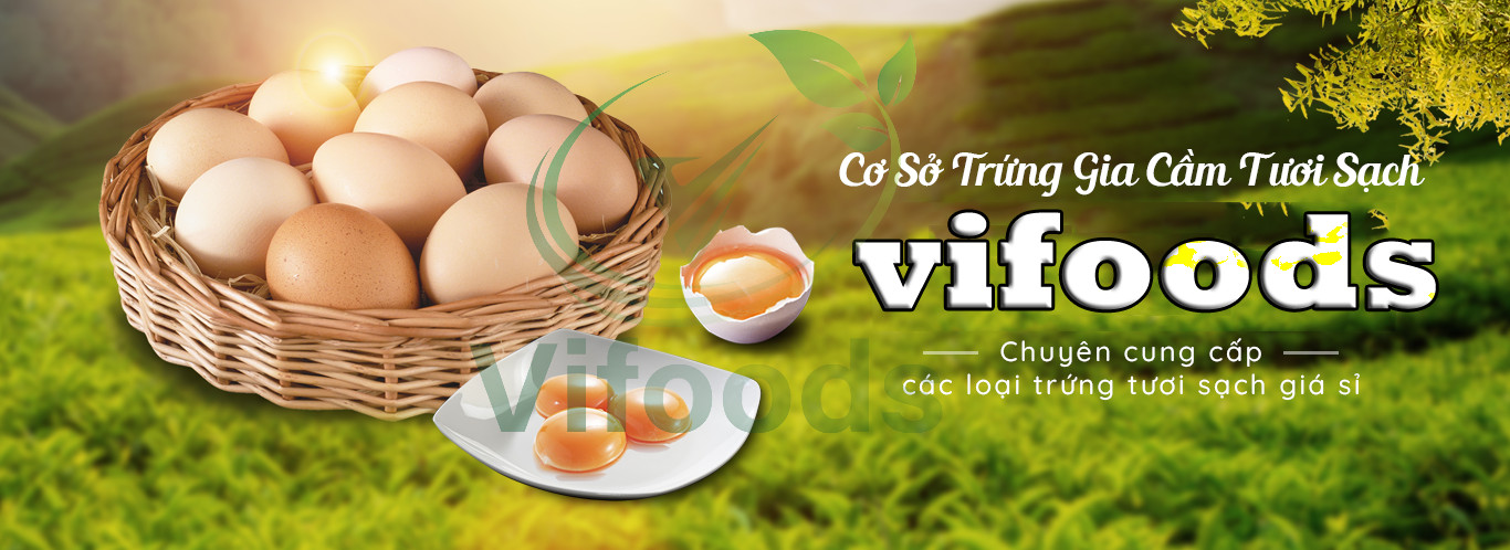 Trứng gà lộn tươi ngon tại các địa điểm bán uy tín