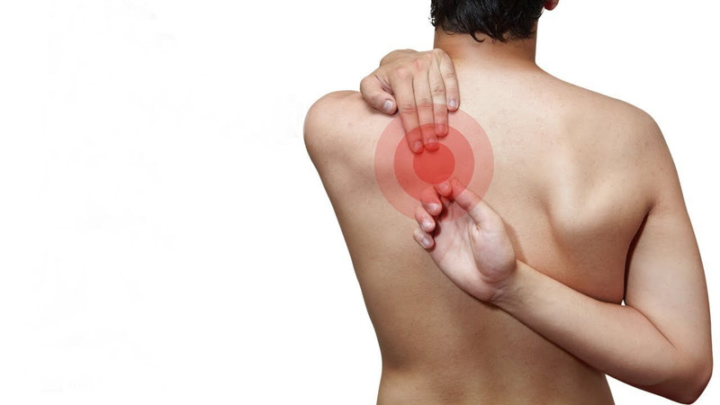 Vị trí chính xác của xương bả vai trên cơ thể người