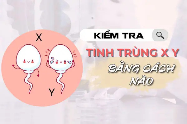 Xét nghiệm tỷ lệ tinh trùng X Y ở đâu để đảm bảo sức khỏe sinh sản