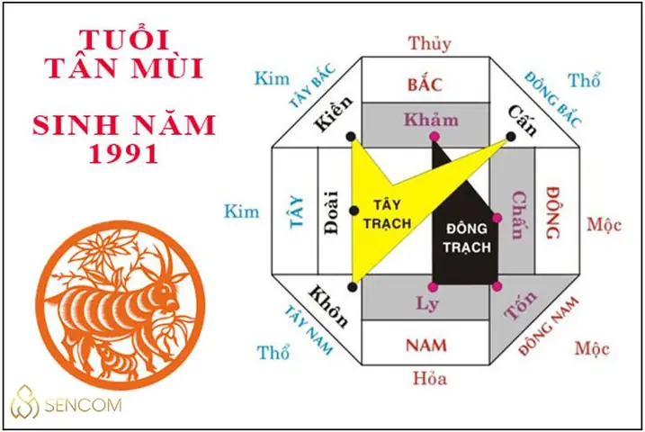 Nữ Mệnh Sinh Năm 1991