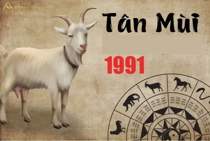 Năm 1991 Hợp Những Con Số Nào?