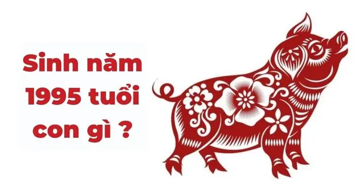 Sinh Năm 1995 Tuổi Gì?