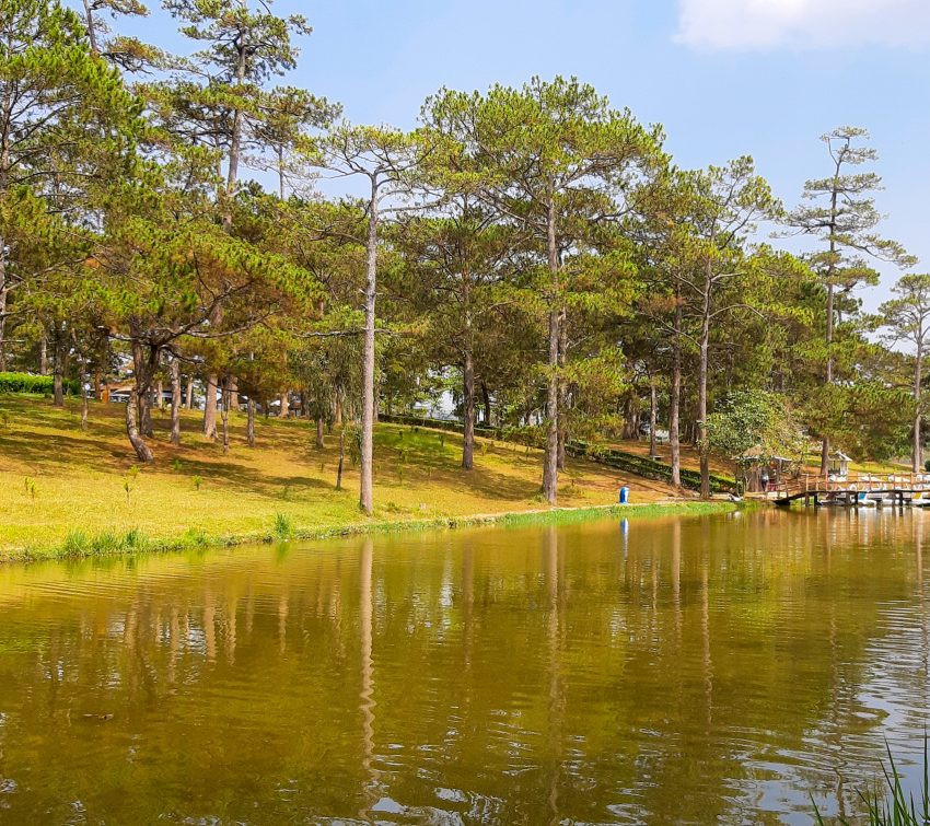 Ảnh minh họa khu vực Hồ Than Thở Đà Lạt với khung cảnh nên thơ