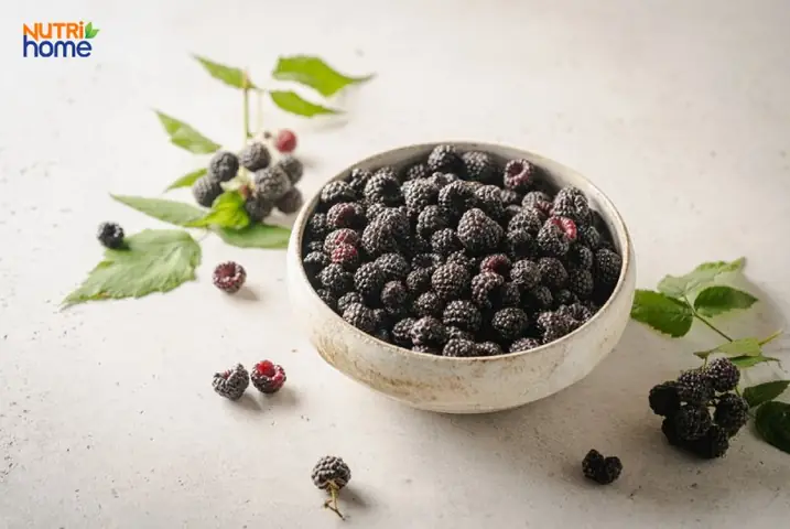 Mâm Xôi Đen Mâm Xôi Đen