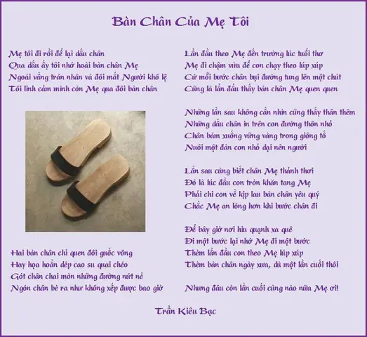 Bàn Xếp Học Sinh Cần Thơ: Giải Pháp Thông Minh Tối Ưu Không Gian Học Tập