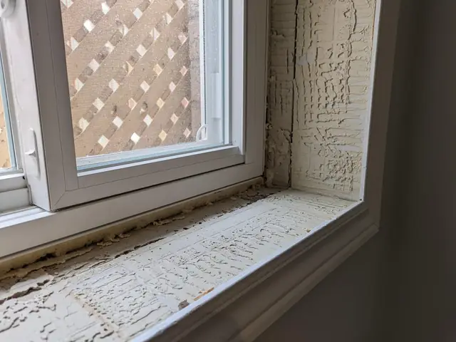 R/carpentry - Cái Gì Đây, Loại Keo Dính Này?