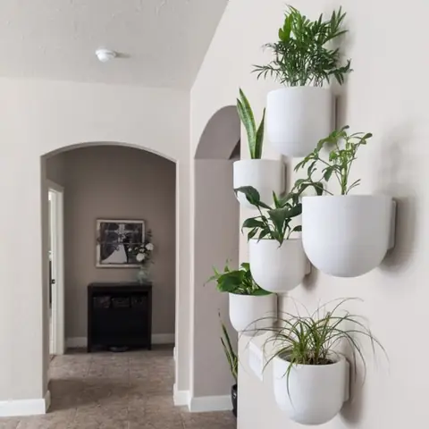 Chơi Đùa Cùng Cây Cối