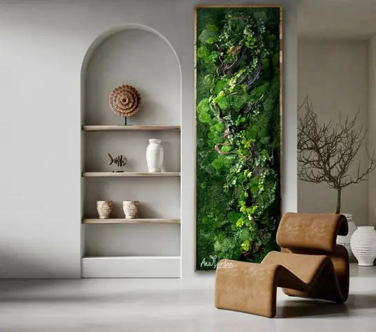 20. Tranh Rêu Nội Thất Tự Nhiên