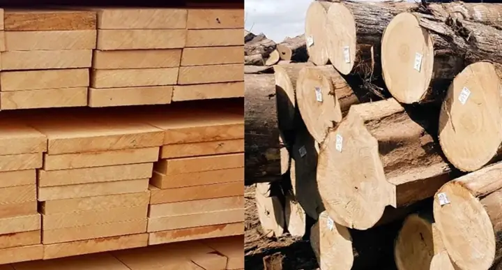 Nên Lưu Ý Điều Gì Khi Chọn Gỗ Tự Nhiên Cho Thiết Kế Nội Thất?