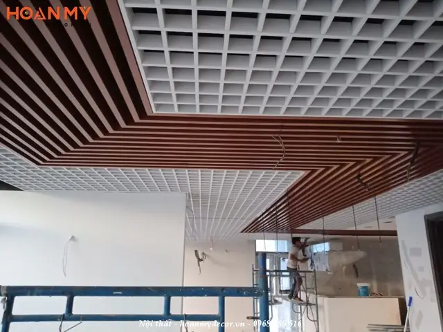 Một Số Mẫu Trần Nhà Đẹp 2025