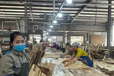 Sản Xuất Ván Ép Xuất Khẩu Tại Công Ty Cổ Phần Sơn Thủy, Tỉnh Hòa Bình. (ảnh Vũ Hoàng ) Sản Xuất Ván Ép Xuất Khẩu Tại Công Ty Cổ Phần Sơn Thủy, Tỉnh Hòa Bình. (ảnh Vũ Hoàng )