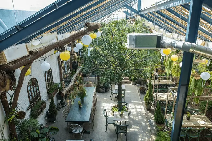 Cách Bố Trí Quán Cà Phê Hài Hòa Với Thiên Nhiên