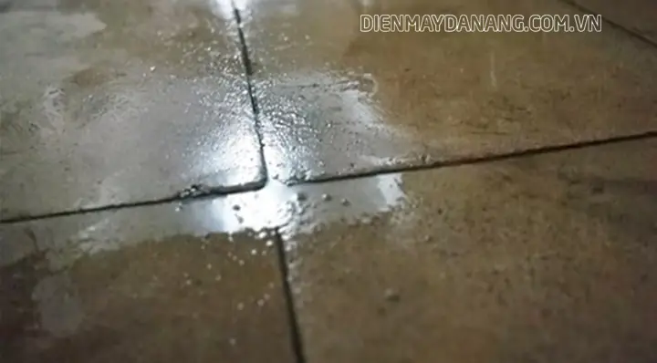 Nguyên Nhân Khiến Nền Nhà Bị Ẩm Nguyên Nhân Khiến Nền Nhà Bị Ẩm