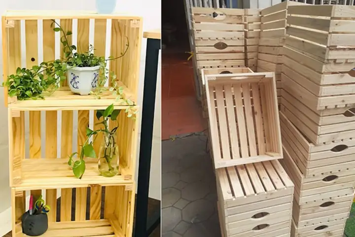 Pallet Hộp Pallet Hộp