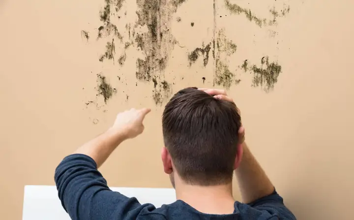 Hậu Quả Sơn Nhà Khi Tường Ẩm