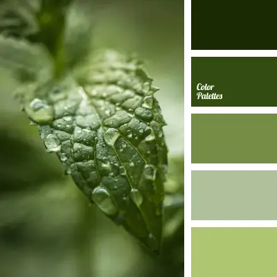 Cách Phối Màu Trong Thiết Kế Hiện Đại