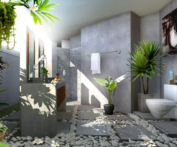 Trang Trí Nhà Cửa Bằng Cây Xanh