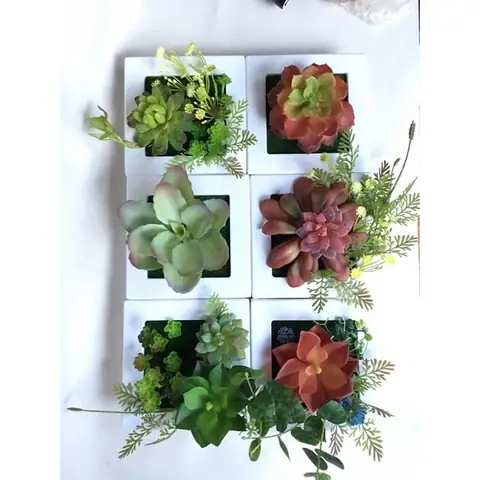 18. Cây Xanh Trang Trí 18. Cây Xanh Trang Trí