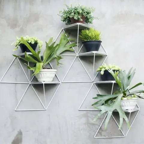 18. Cây Xanh Trang Trí 18. Cây Xanh Trang Trí