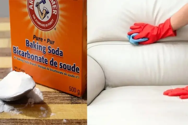 Cách Vệ Sinh Ghế Sofa Da Bằng Baking Soda Cách Vệ Sinh Ghế Sofa Da Bằng Baking Soda