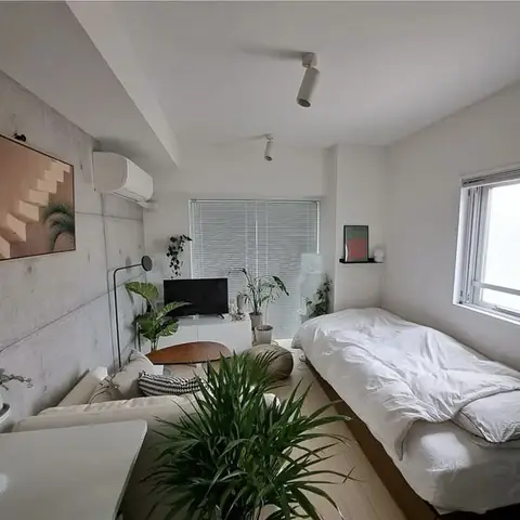 Cải Tạo Phòng Trọ Với Không Gian Xanh