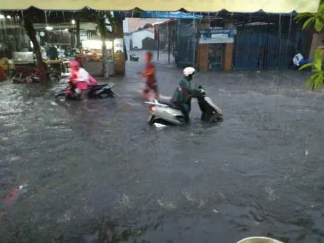 Căn Hộ The Ascent - Thảo Điền Q2 Căn Hộ The Ascent - Thảo Điền Q2