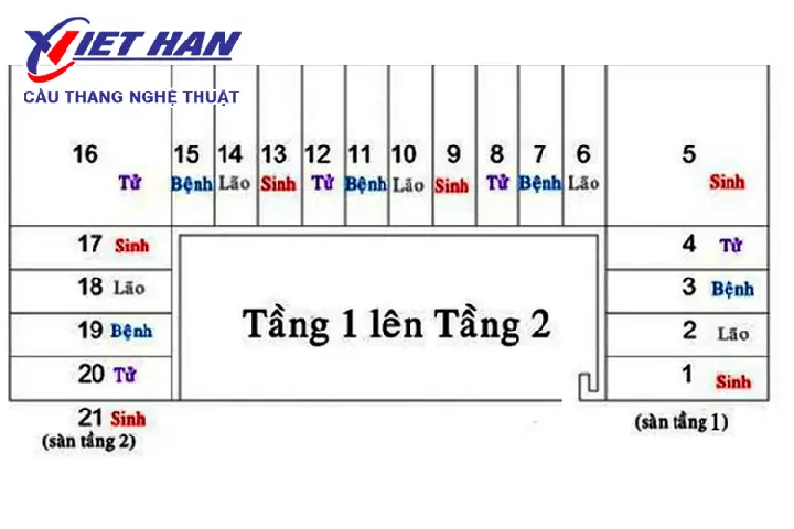 Theo Quy Luật Sinh Lão Bệnh Tử