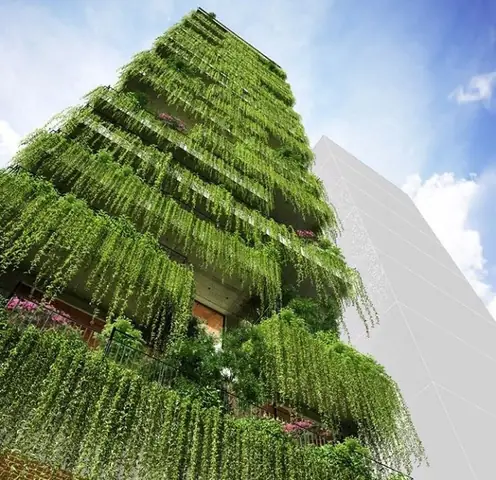 Cây Leo Cho Nhà Hướng Tây: Lựa Chọn Và Chăm Sóc Hiệu Quả