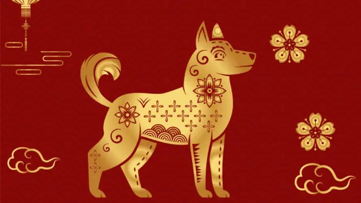 Sinh Năm 1994 Hợp Tuổi Nào?