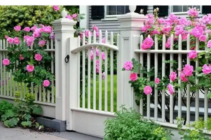 Mẫu Cổng Nhà Vườn Đẹp Ở Nông Thôn Mẫu Cổng Nhà Vườn Đẹp Ở Nông Thôn