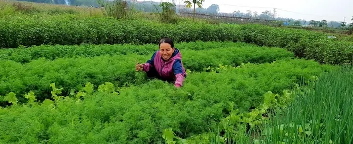 Cổng Thông Tin Vĩnh Tường: Khám Phá Giải Pháp Nội Thất Toàn Diện