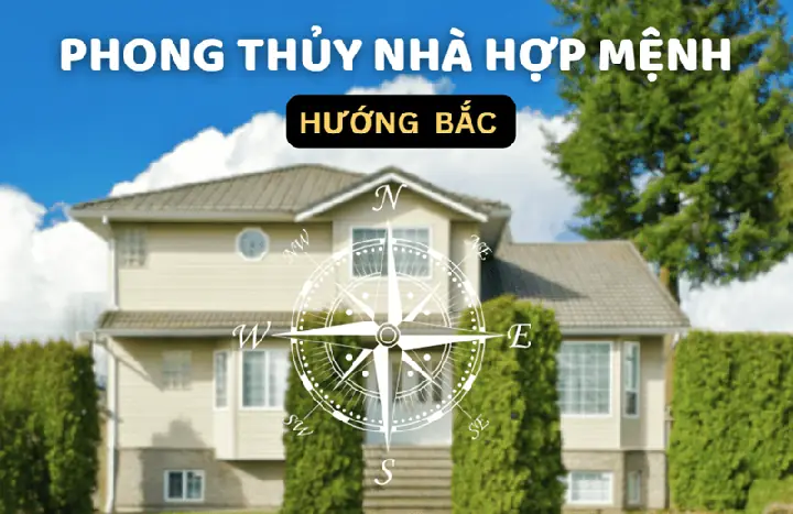 Mệnh Mộc Hợp Hướng Nhà Nào?