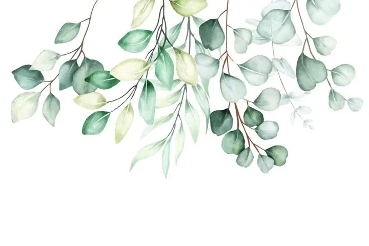 Decal Dã¡n Cã¢y Xanh Dã Nh Cho Phã²ng Khã¡ch