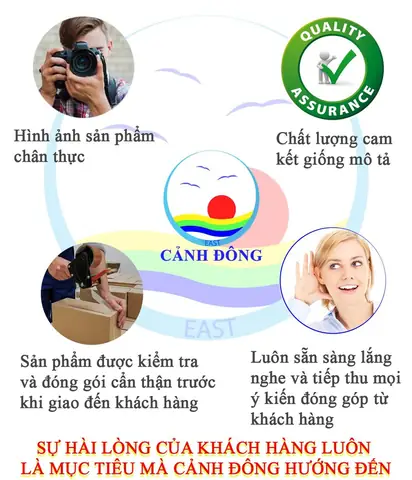 Decal Dán Tường Phòng Cưới