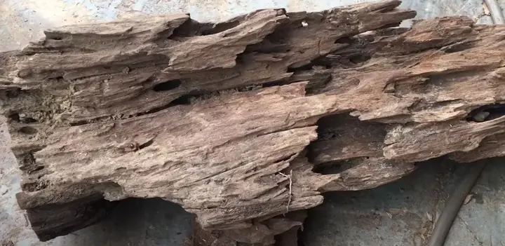 Dụng Cụ Làm Gỗ Lũa