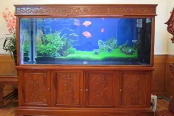 Đa Dạng Mẫu Mã Và Chất Liệu