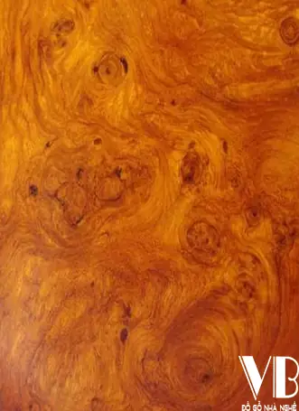 Cửa Gỗ Gõ Đỏ Nam Phi