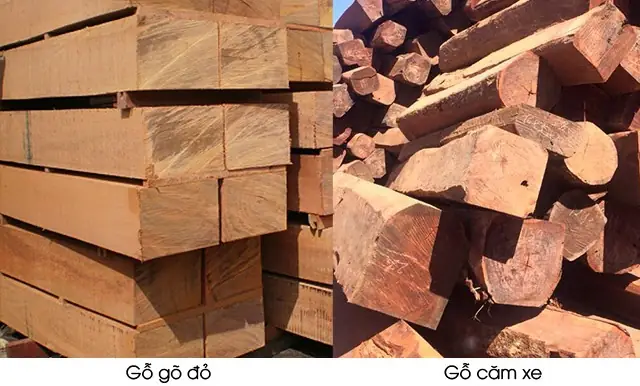 Giới Thiệu Tổng Quan Về Gỗ Căm Xe Và Gỗ Gõ Đỏ
