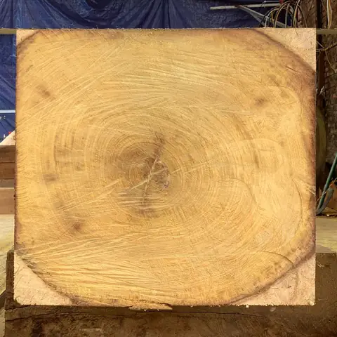 Công Dụng Của Gỗ Dâu Rừng