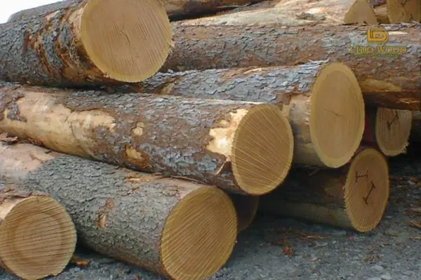 Bảng Giá Gỗ Sồi Nhập Khẩu Mới Nhất