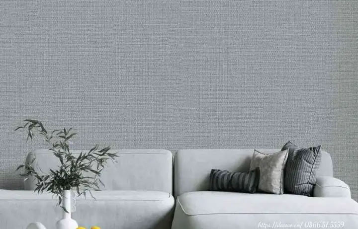 Phân Loại Theo Đặc Điểm Bề Mặt Và Màu Sắc