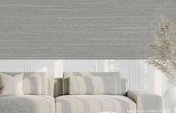 Phân Loại Theo Đặc Điểm Bề Mặt Và Màu Sắc