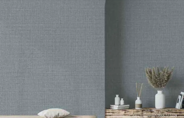 Phân Loại Theo Đặc Điểm Bề Mặt Và Màu Sắc