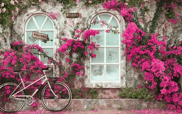 Giấy Dán Tường Có Tính Thẩm Mỹ Cao