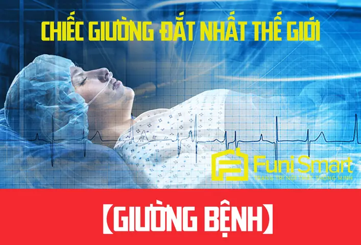 Chiếc Giường Đắt Nhất Thế Giới Thực Sự