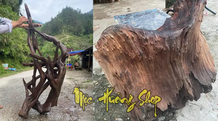 Gỗ Ngọc Am Là Gì? Nguồn Gốc, Đặc Điểm & Ứng Dụng Chi Tiết