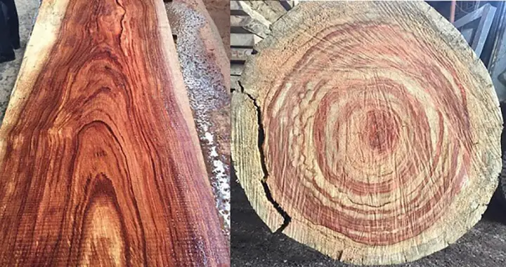 Gỗ Hương Đá Có Mấy Loại? Hướng Dẫn Nhận Biết & Ứng Dụng